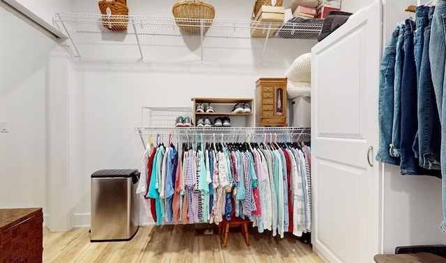 spacious closet featuring hardwood / wood-style floors