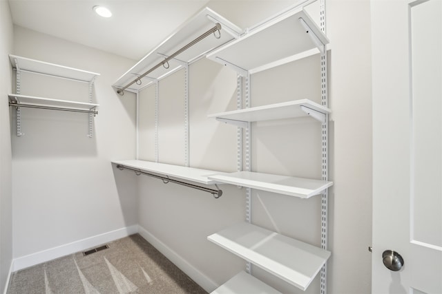 spacious closet with light carpet