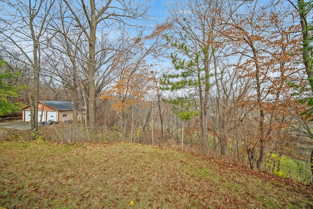 view of yard with an outbuilding