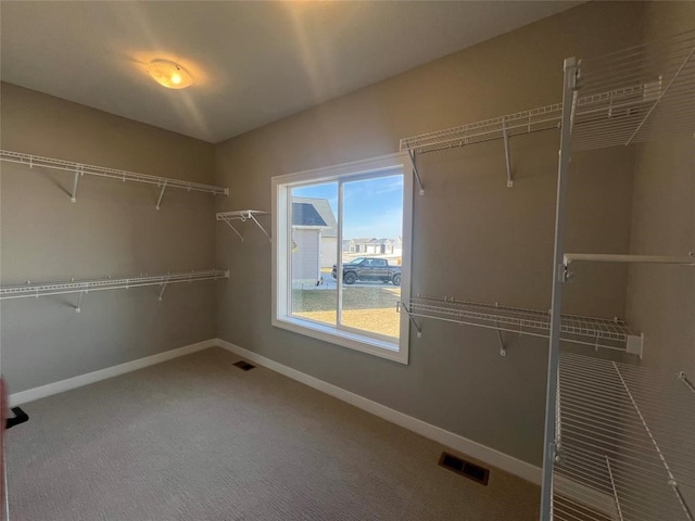 walk in closet with carpet flooring