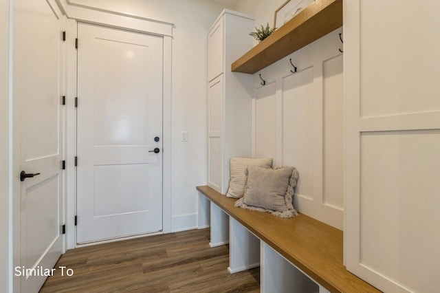 mudroom with dark wood-type flooring