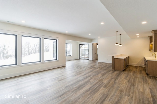 unfurnished living room featuring wood-type flooring and sink