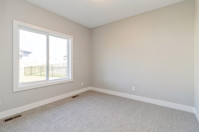 4052 NW 175th St, Clive, IA 50325 - photo 10