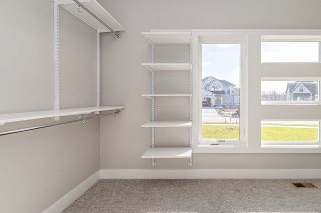 walk in closet with carpet