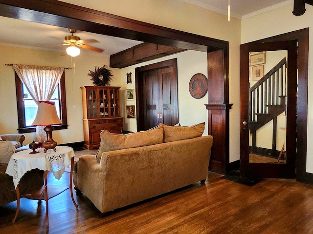 living room with dark hardwood / wood-style floors, ceiling fan, and crown molding