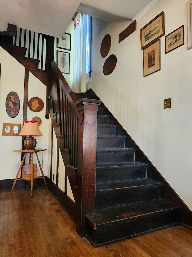 stairs with hardwood / wood-style flooring