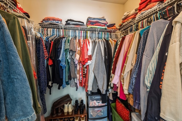 view of spacious closet