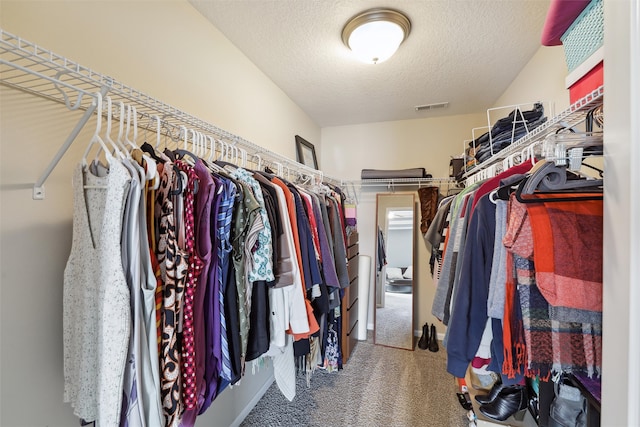 spacious closet with carpet