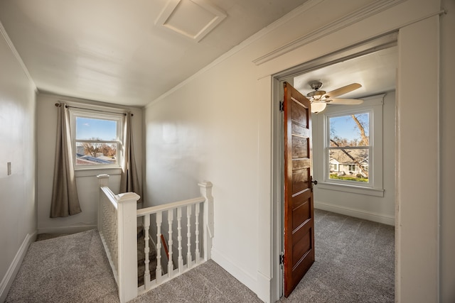 hall featuring dark colored carpet, a healthy amount of sunlight, and ornamental molding