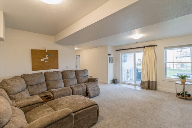 living room with carpet flooring and a textured ceiling