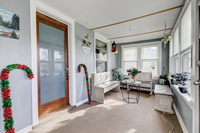 living area featuring carpet flooring