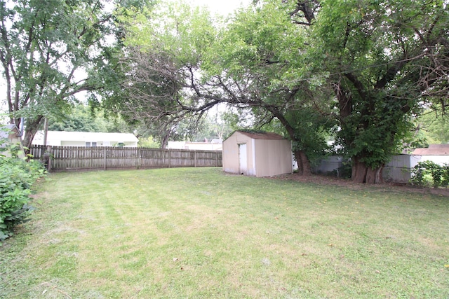 view of yard with a storage unit