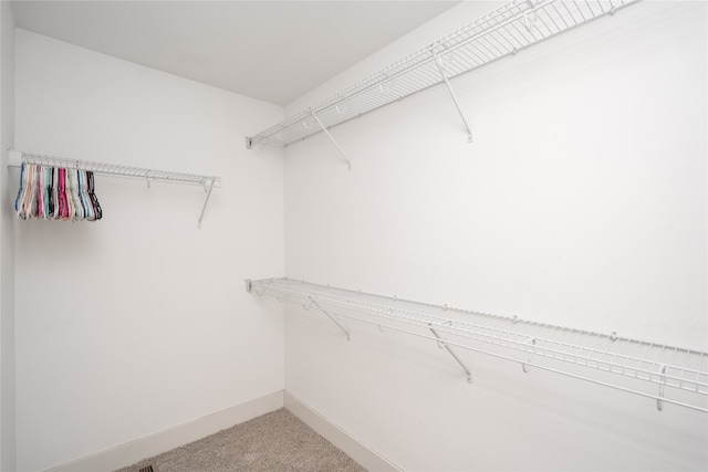 spacious closet featuring carpet