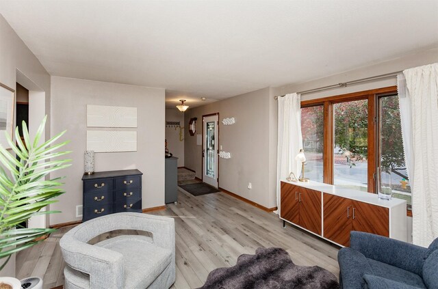 living room with light hardwood / wood-style floors