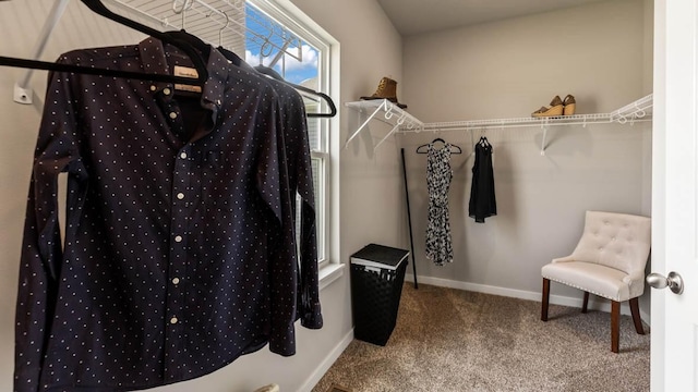 walk in closet with carpet floors