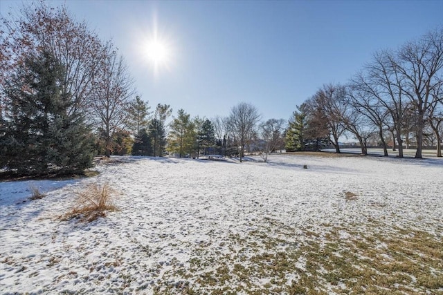 view of yard layered in snow