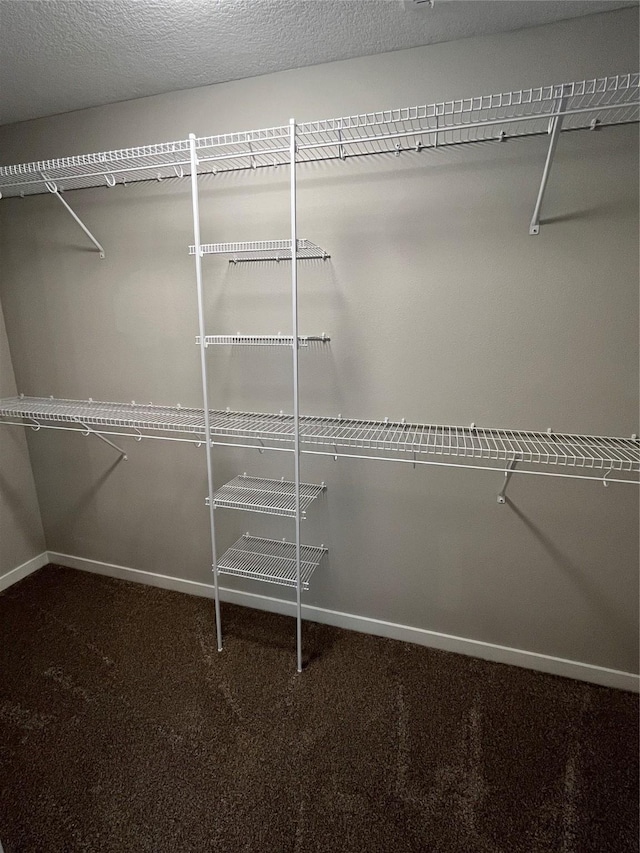 walk in closet featuring carpet flooring