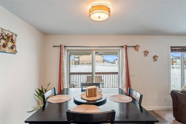 carpeted dining space with a textured ceiling and a wealth of natural light