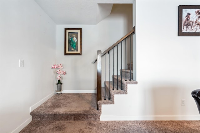 staircase featuring carpet