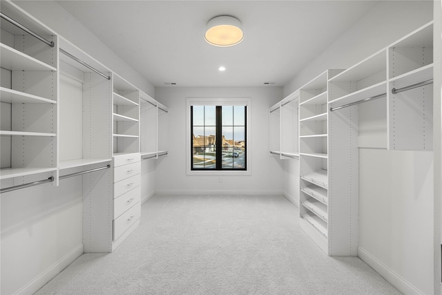 walk in closet with light carpet