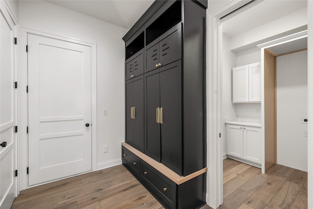 mudroom with light wood-type flooring