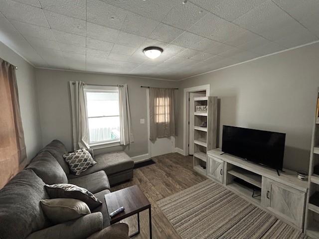 living room with hardwood / wood-style flooring