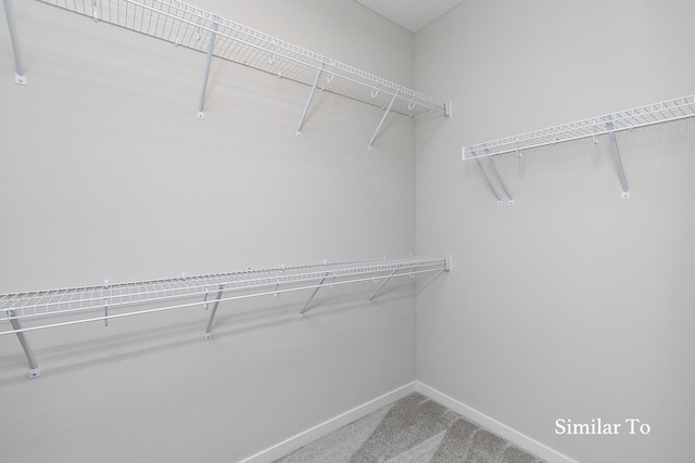 walk in closet featuring carpet flooring