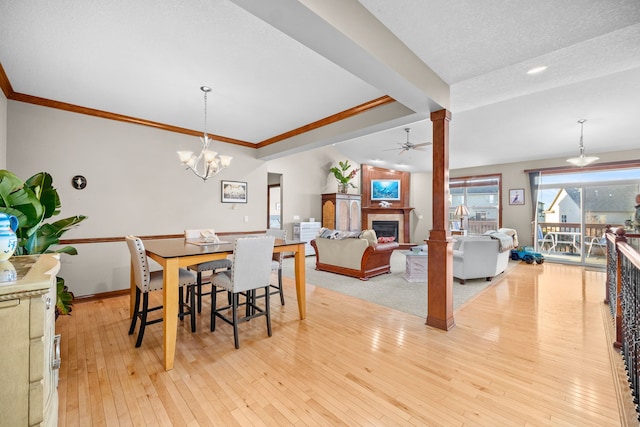 dining room featuring ceiling fan with notable chandelier, light hardwood / wood-style floors, ornamental molding, and a textured ceiling