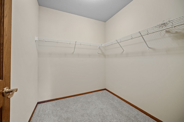 spacious closet featuring carpet floors