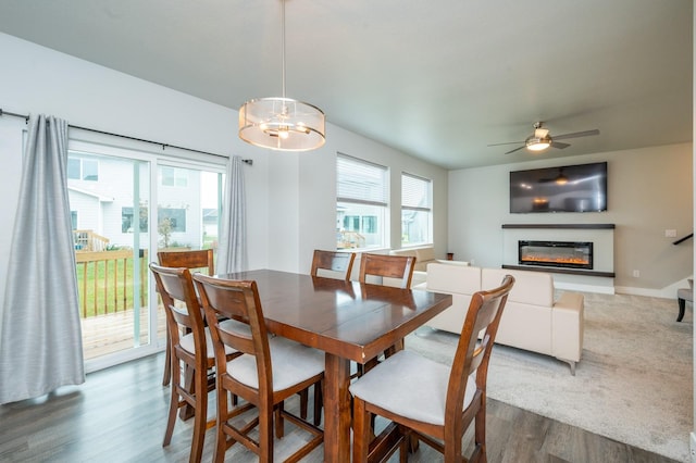 dining room with ceiling fan with notable chandelier and dark hardwood / wood-style flooring