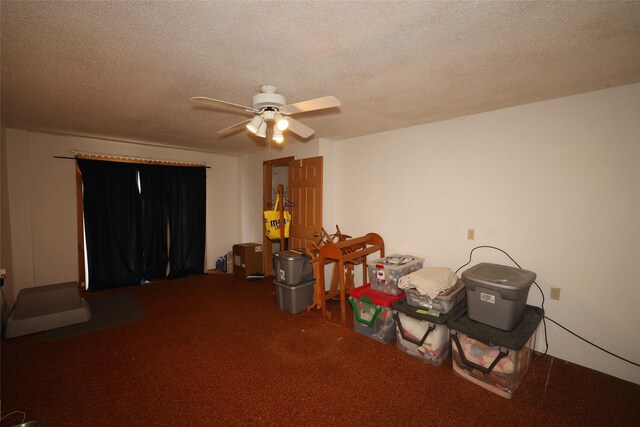 miscellaneous room with carpet, a textured ceiling, and ceiling fan