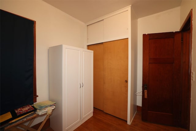 interior space featuring dark wood-type flooring and a closet