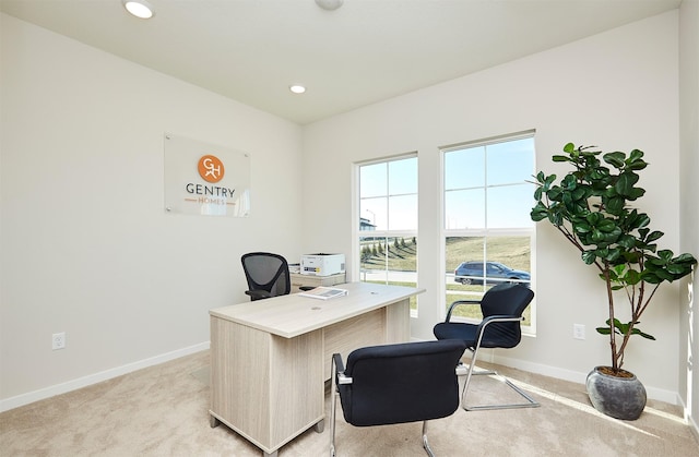 office area with light colored carpet