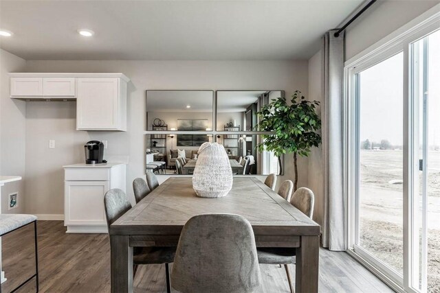 dining room featuring wood-type flooring