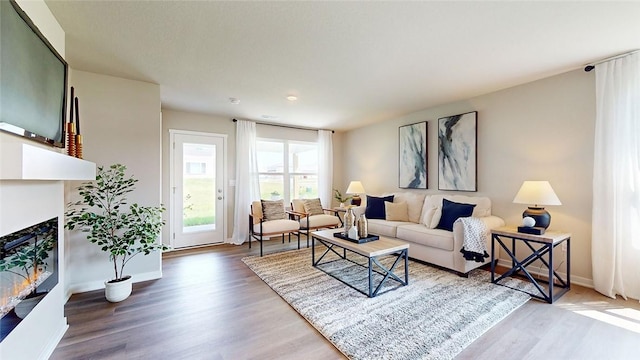 living room with hardwood / wood-style floors