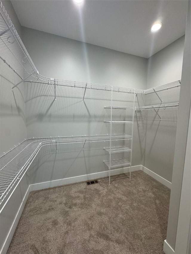 203 Hudson Ave, Van Meter, IA 50261 - walk in closet with carpet