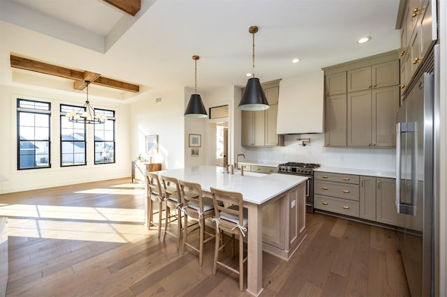 kitchen featuring high quality appliances, premium range hood, dark wood-type flooring, and an island with sink