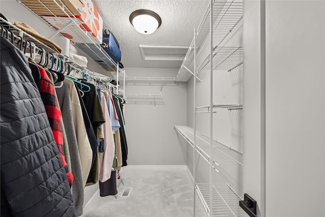 walk in closet with carpet floors