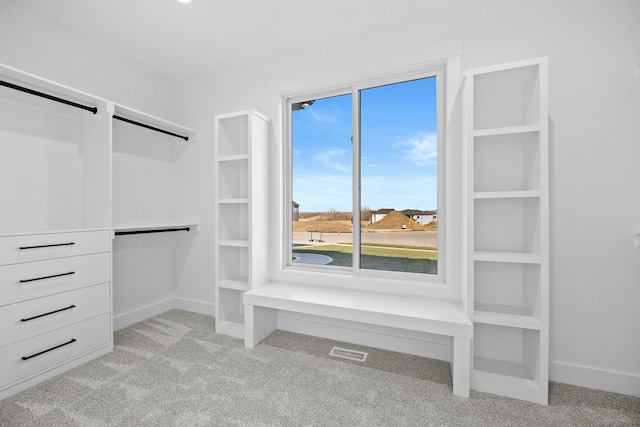 spacious closet featuring light carpet