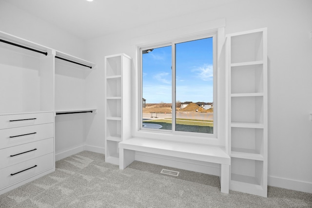 walk in closet with light carpet