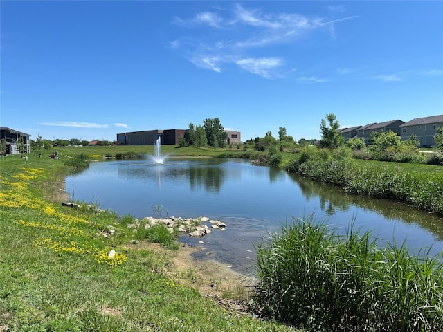156 NW Sunrise Dr, Waukee, IA 50263 - photo 5