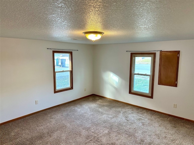 spare room with plenty of natural light, carpet floors, and a textured ceiling