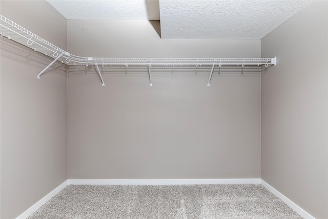 walk in closet with carpet flooring