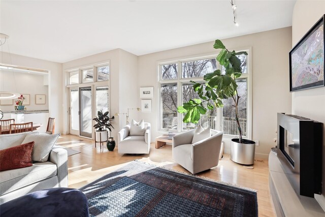 living room with light hardwood / wood-style floors and track lighting