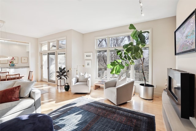 living area with baseboards, light wood-style flooring, and track lighting