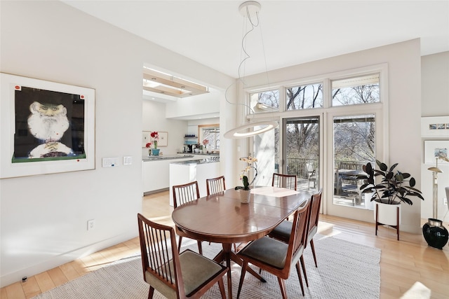 dining room with light wood-type flooring