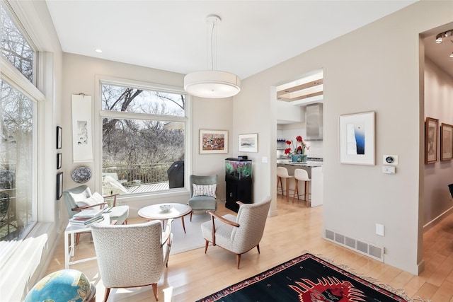 interior space featuring light wood-style flooring and visible vents