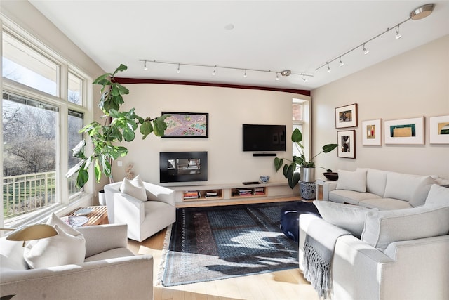 living room with rail lighting and wood finished floors