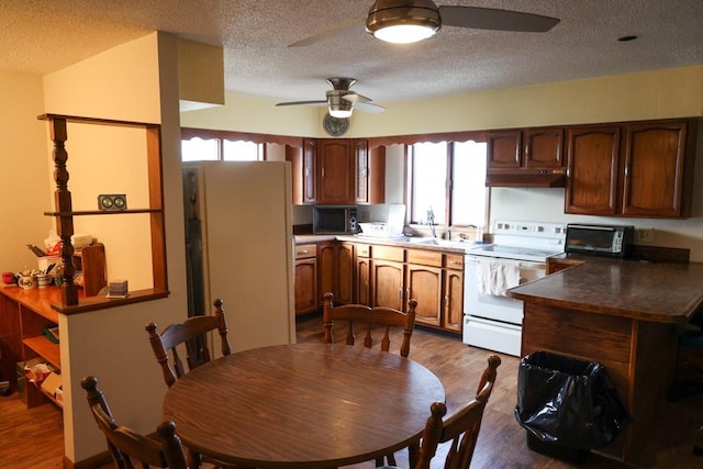 247 560th St, Cherokee, IA 51035 - photo 25