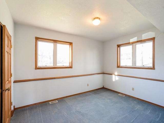 empty room featuring carpet flooring, plenty of natural light, and a textured ceiling